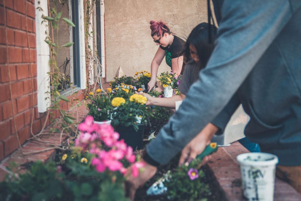 a social enterprise is supposed to dedicate a portion of its revenue to addressing social issues and environmental problems