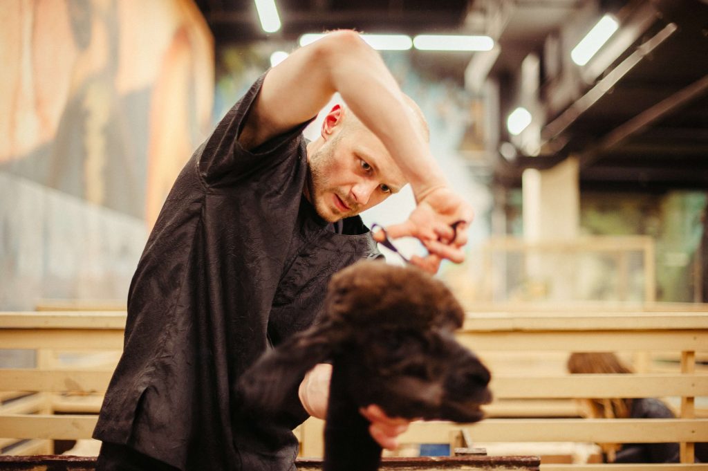Pet grooming is a business that requires high-skilled workers besides monetary investment, so you need to sharpen grooming skill strongly before joining this market